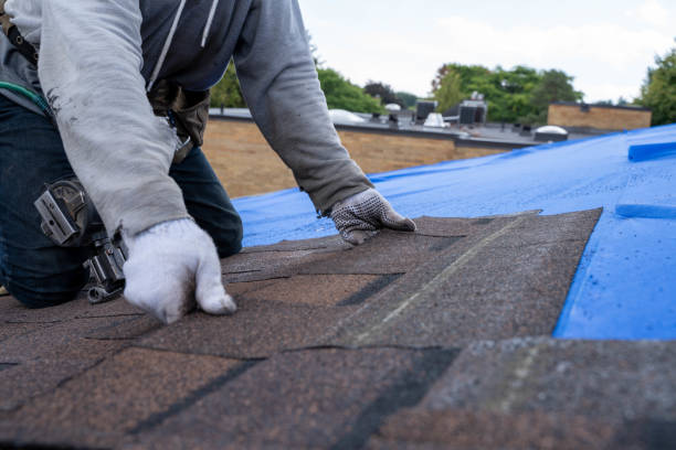 Best Storm Damage Roof Repair  in Lone Star, TX